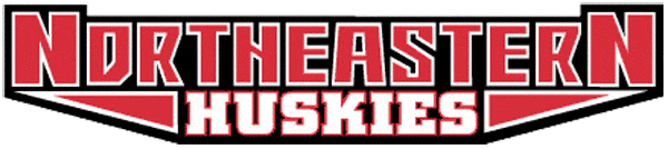Northeastern Huskies 2001-2006 Wordmark Logo diy fabric transfer
